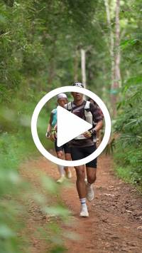 BIB:  <button type="button" onclick="openModal(27195916)" class="btn btn-primary btn-sm float-right" data-toggle="modal" data-target=".modal-high-quality">
                <i class="fa fa-download"></i> Download
                </button>